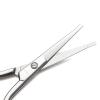 imageLIVINGO 375quot Small Safety Facial Nose Hair Scissors Curved Blade with Rounded Tip Stainless Steel for Manicure Cuticle Eyebrow Dry Skin GoldS  Nose Straight Scissors